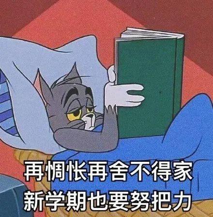 目标文案沙雕,目标文案沙雕句子