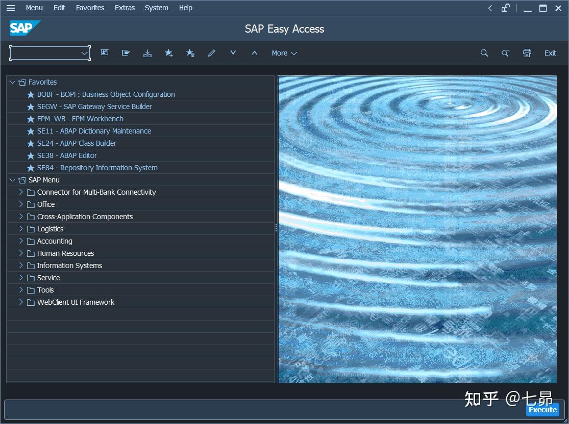 思爱普（SAP）真难之GUI主题设置 - 知乎
