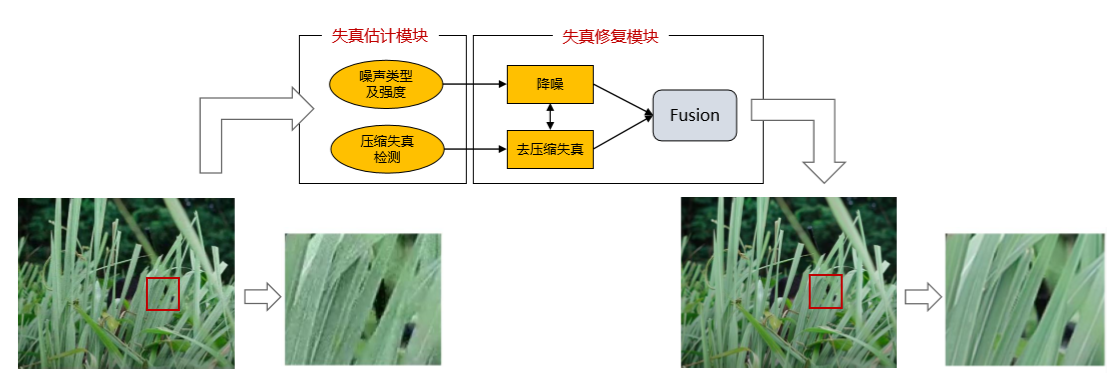 電影AI修復，讓重溫經典有了新的可能