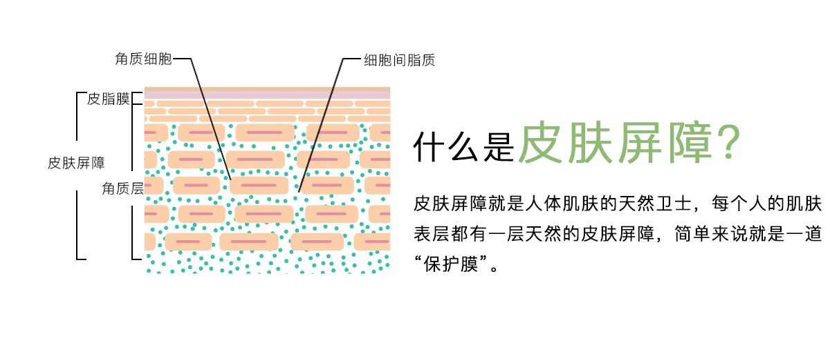 科普篇：深度解析皮肤屏障 - 知乎