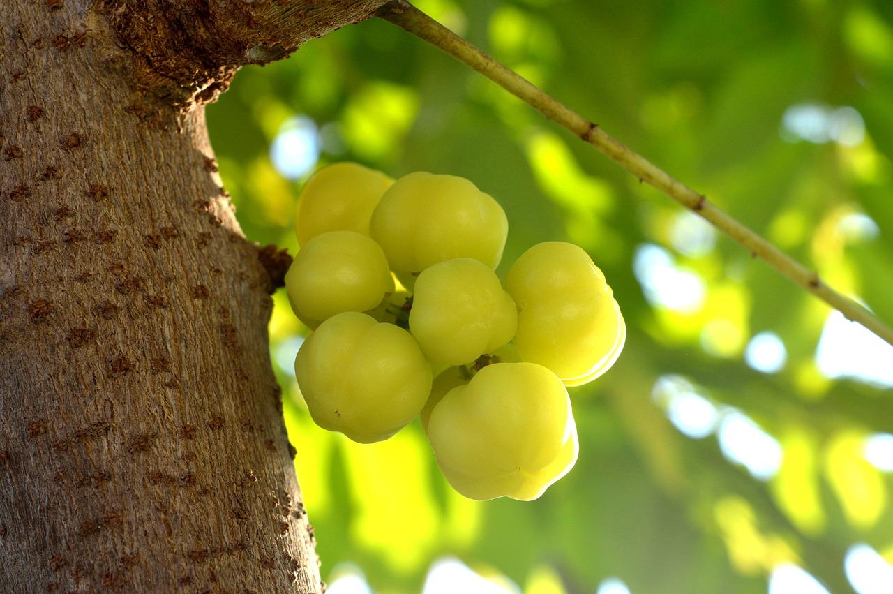 4. 播种深度与间距