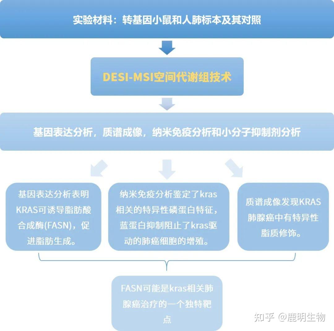 空间代谢组学+蛋白质组学探究肺腺癌治疗的新靶点 - 知乎