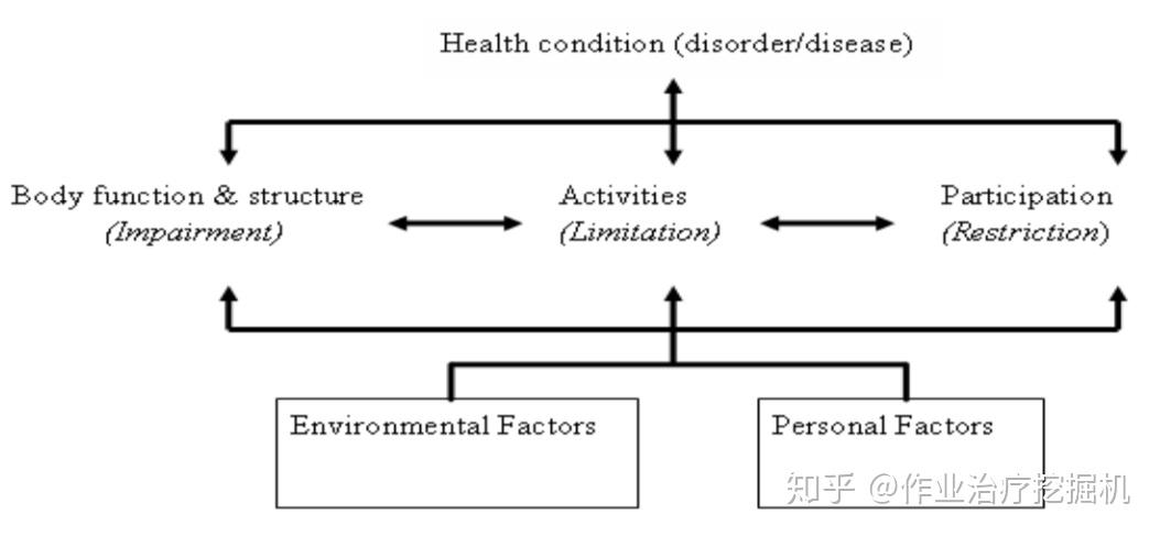 如何理解康复中的icf理论?