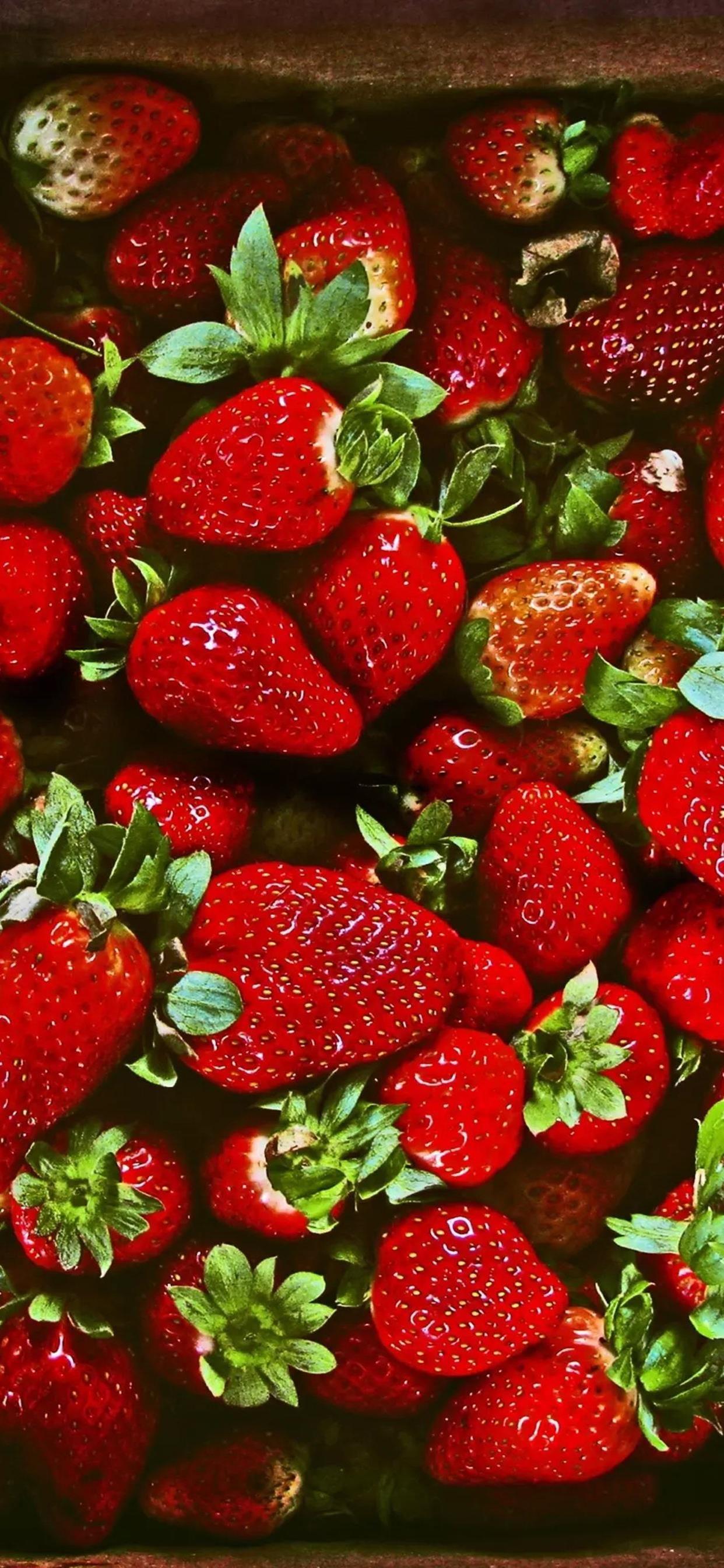 一个新鲜的草莓，气泡 1080x1920 iPhone 8/7/6/6S Plus 壁纸，图片，背景，照片