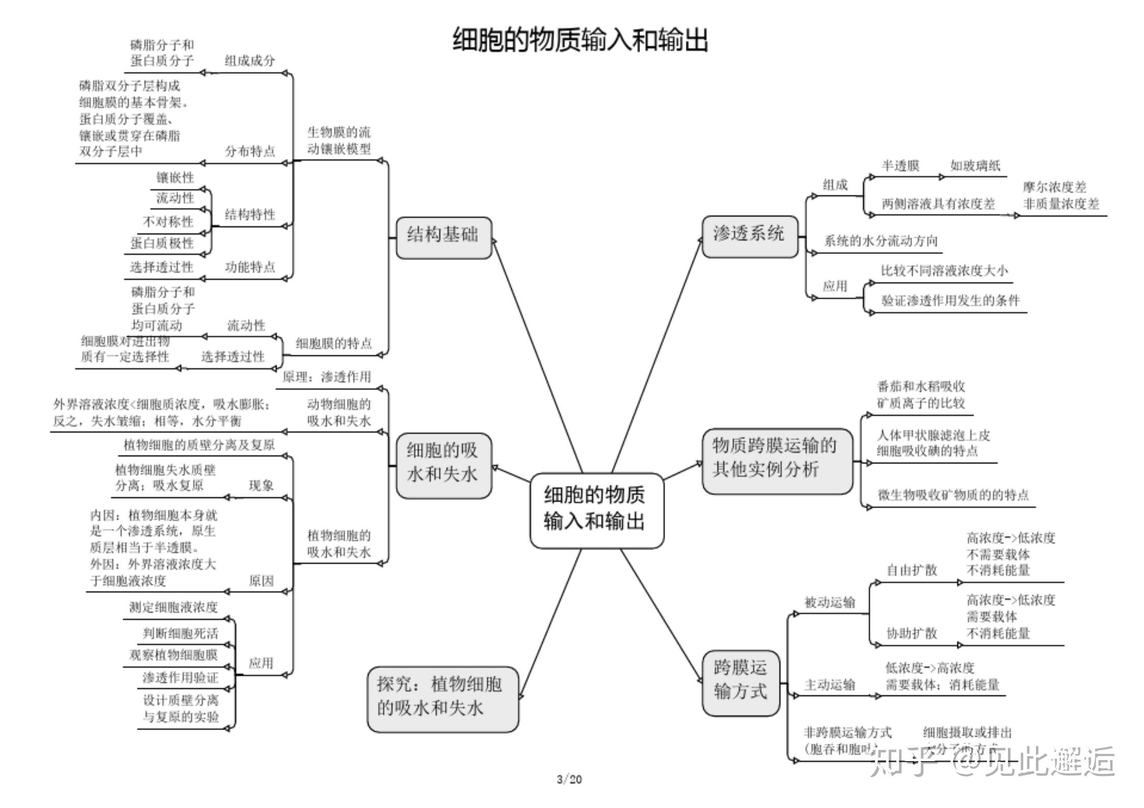 新課標高中生物知識網絡圖思維導圖高清版一到三輪複習必備