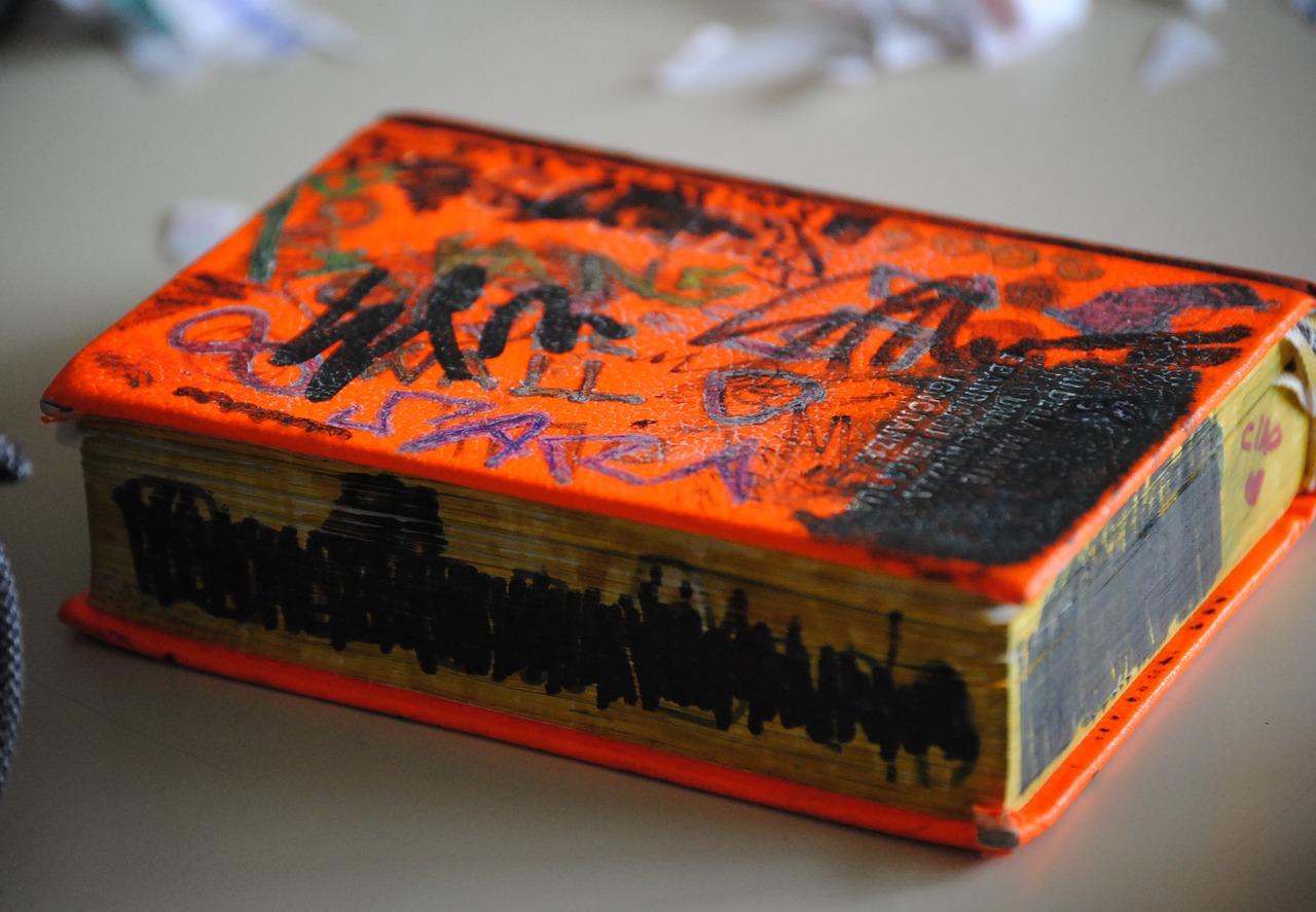 每日趣事分享与成长点滴