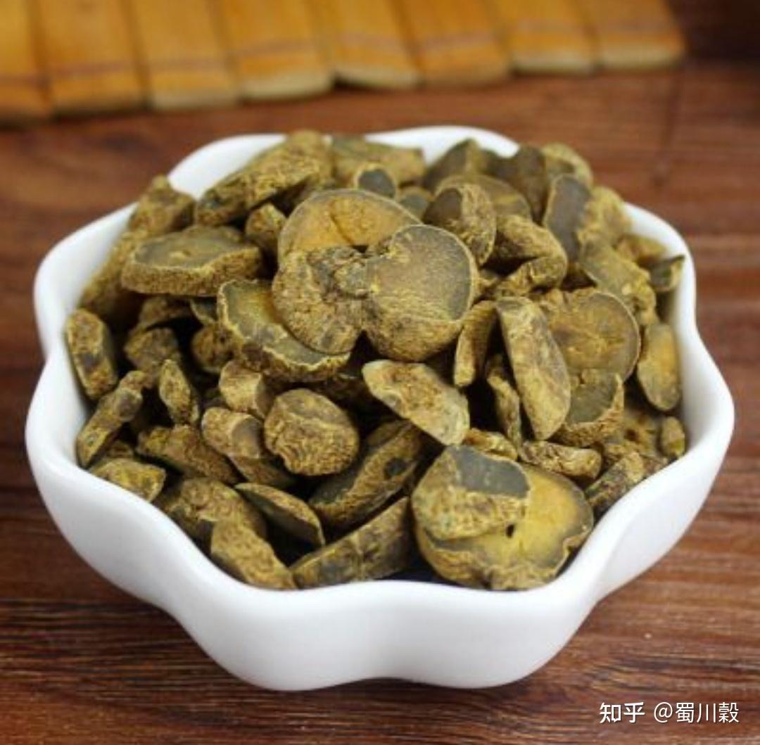 每日一药延胡索