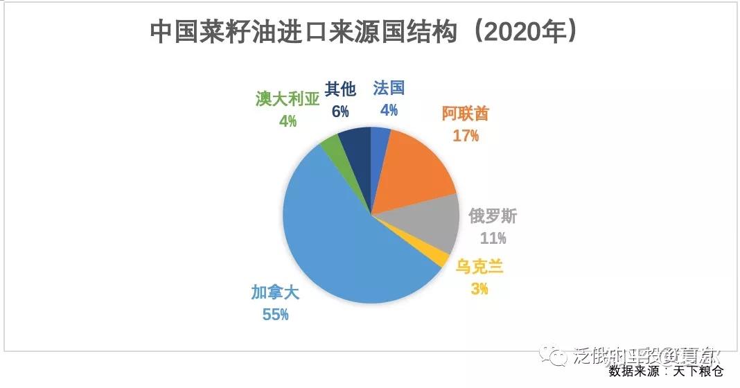 油菜籽產業概況全球俄羅斯中國