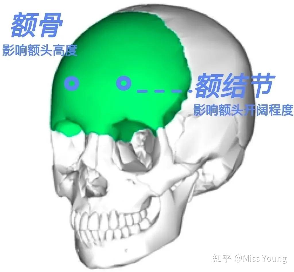 桥本环奈又要拍漫改了，这次是露额头？ - 知乎
