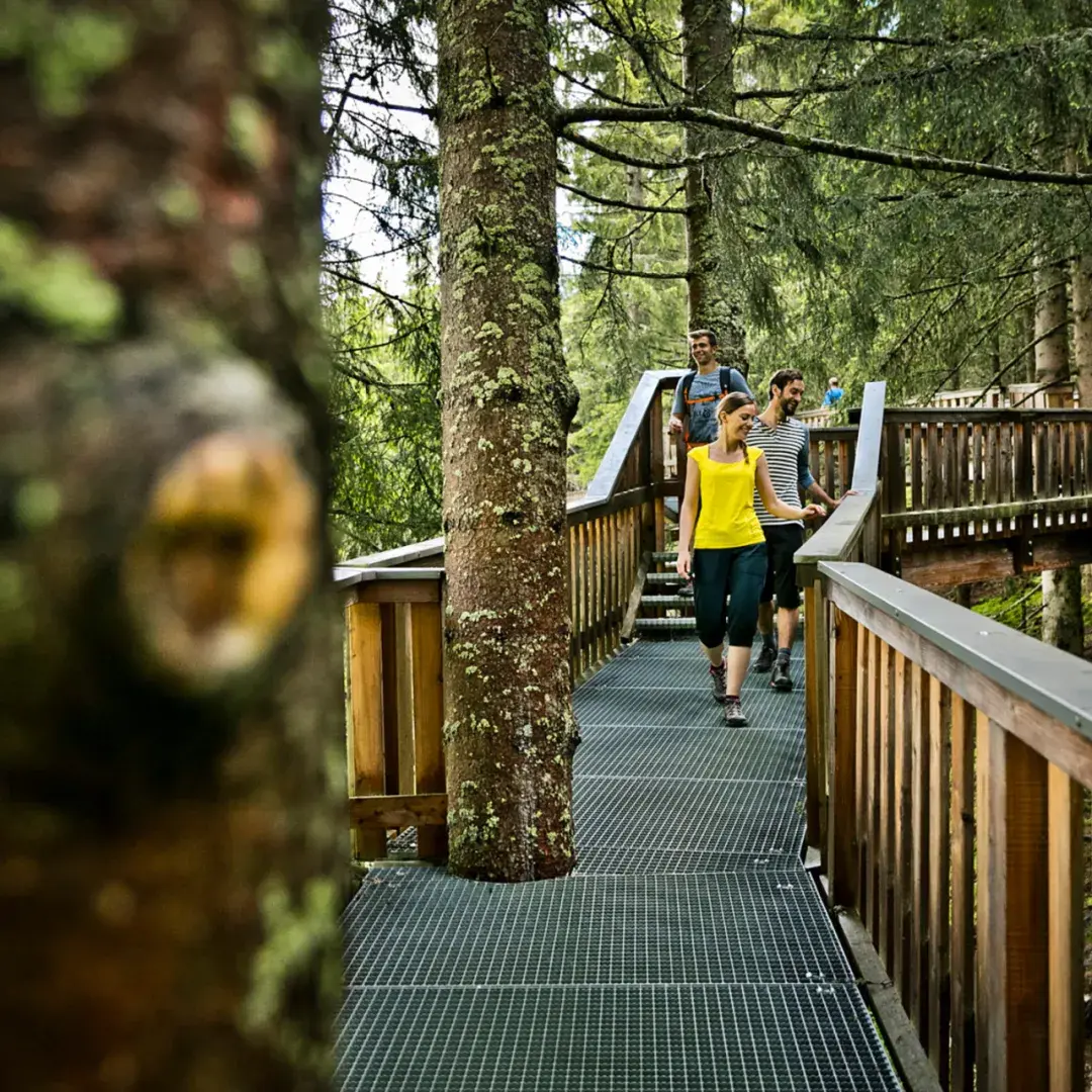 奥地利森林康养借鉴之处