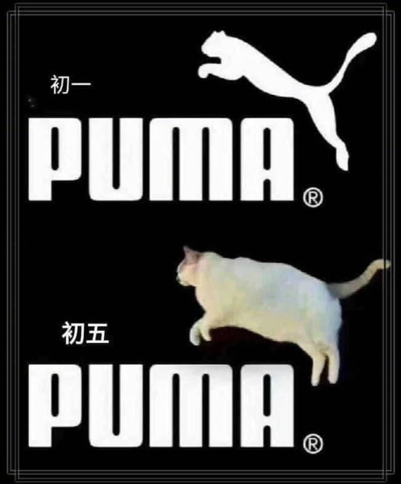 你有哪些特别搞笑的图片或视频值得分享