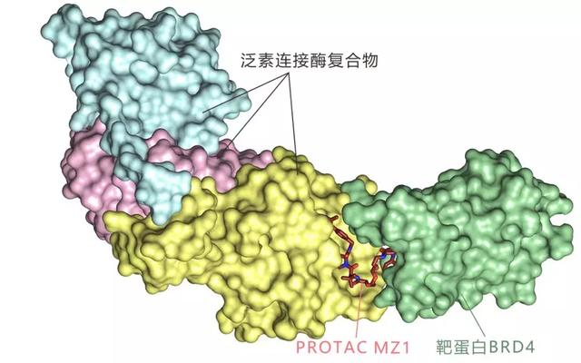 2021年化学领域十大新兴技术16 2021年化学领域十大新兴技术