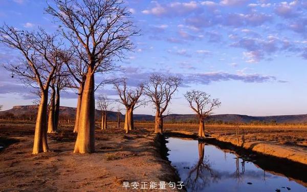 微信早安帶圖問候語早安問候語圖片大全