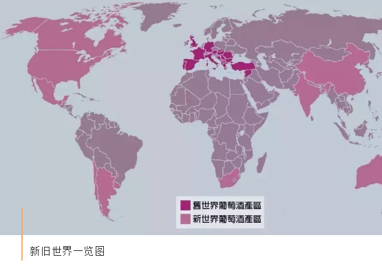 世界上各个国家的历史 v2-2d24360fc5e42c17a704eb064582a3f4_r.jpg