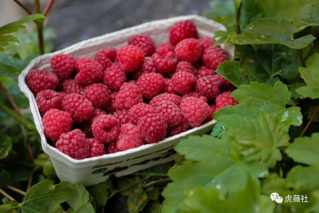 沟通遇到闷葫芦三个问题走进ta的心对话不再只唱独角戏微微课
