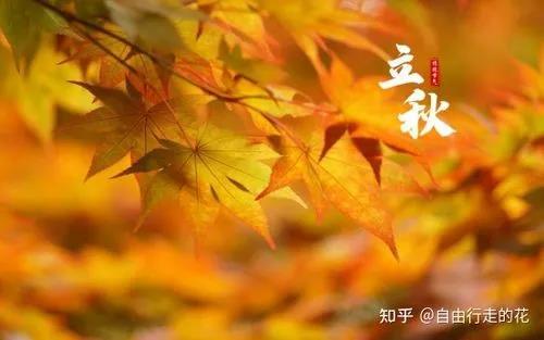 立秋 知乎 立秋 知乎