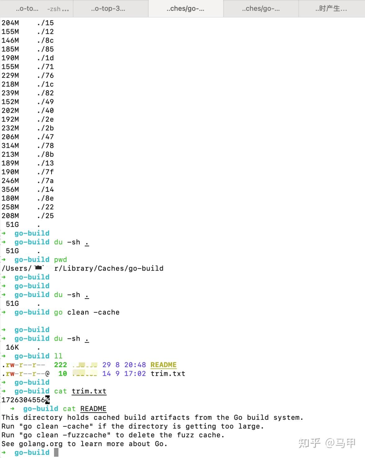 清理Go/Rust编译时产生的缓存 - 知乎