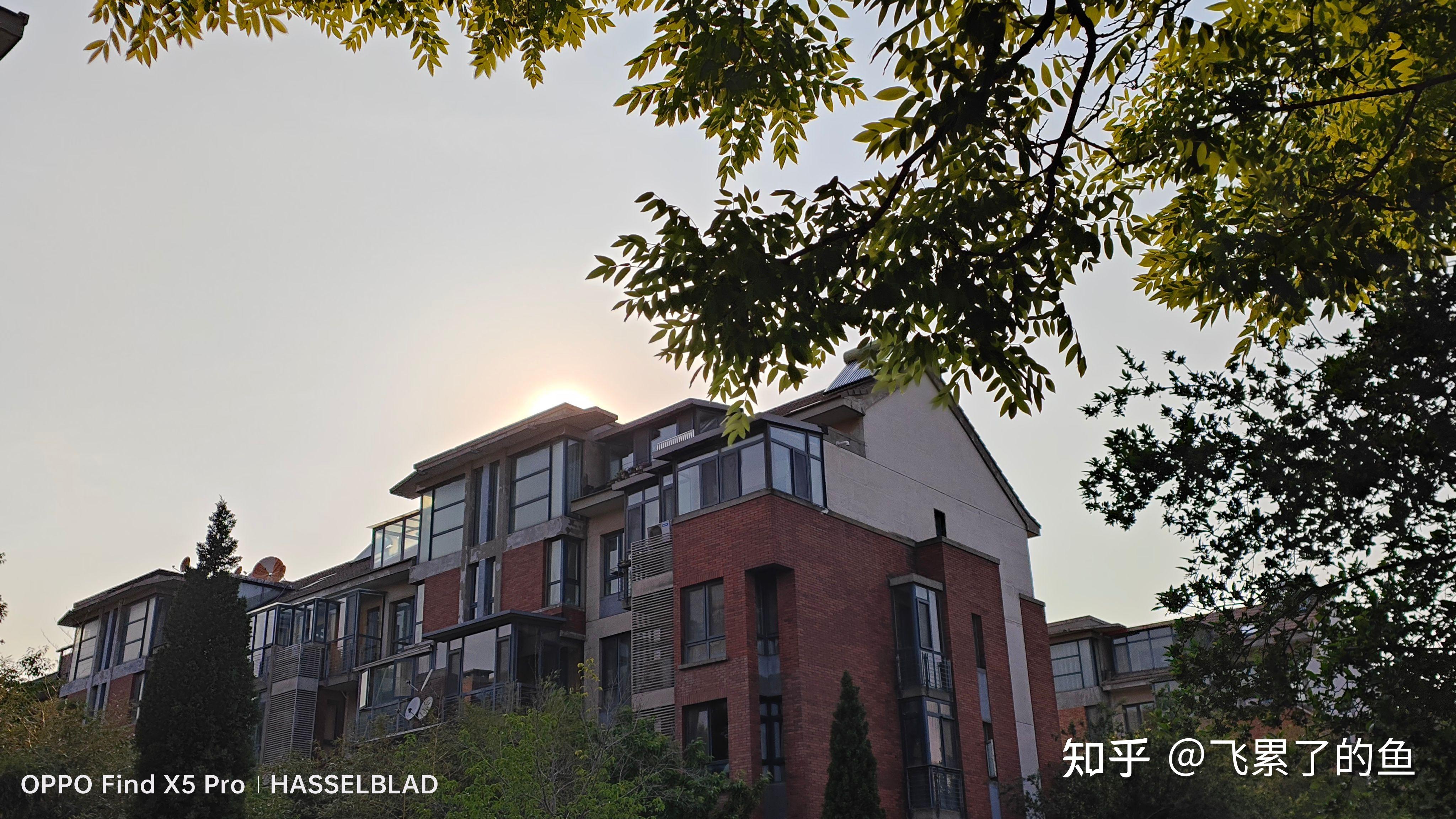 绿厂影像旗舰值得入手吗实际体验告诉你oppofindx5pro到底香在哪