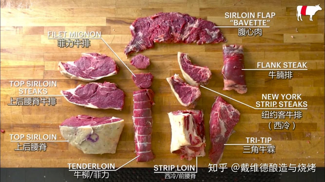 请问牛小排,牛肋条,牛短腹 分别是哪个部位 ?最好有示意图?