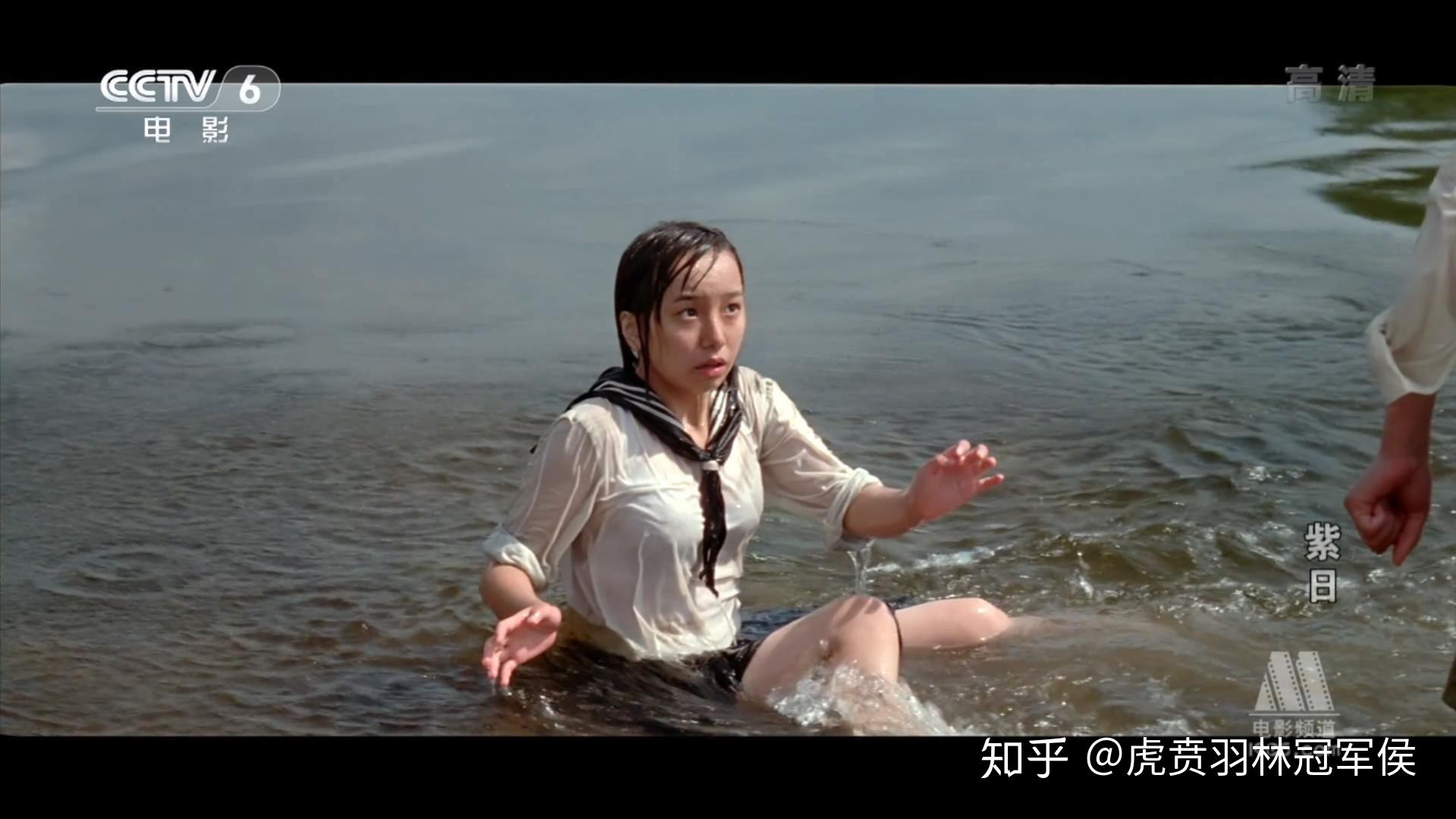 如何评价紫日这部电影