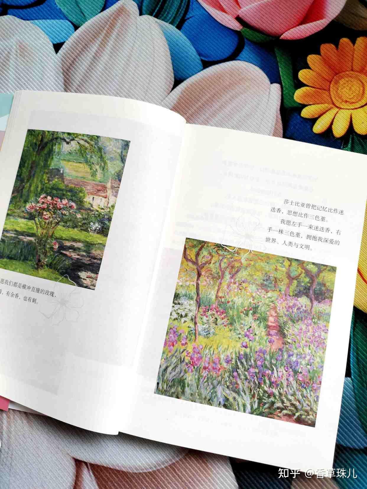 《勇敢的人先享受世界》:勇敢不是天赋,而是人人都能学会的行动 - 知乎