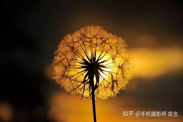 【进阶篇四】摄影光线的基础知识 - 知乎
