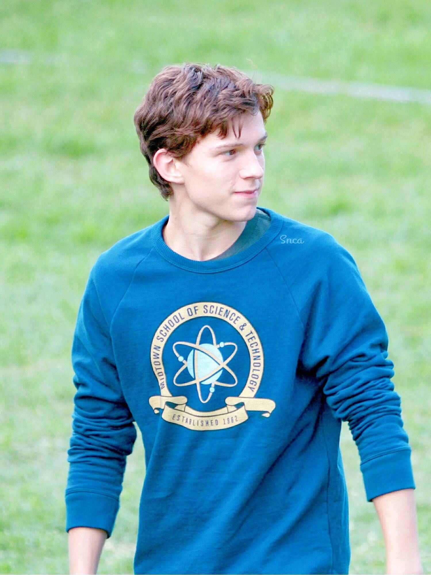 发一下你认为荷兰弟tomholland好看的照片