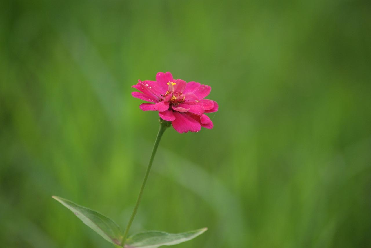 2. 绿金沙户型解析