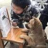 文若