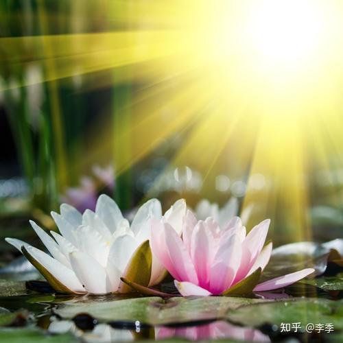 了,而所列的受持方法及事项,又如此详尽周密,是不是有点太强人所难了?