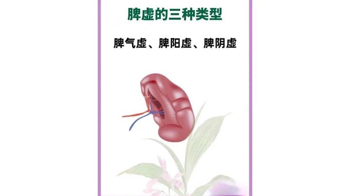 脾虚的三种类型,症状表现你都知道吗? - 知乎