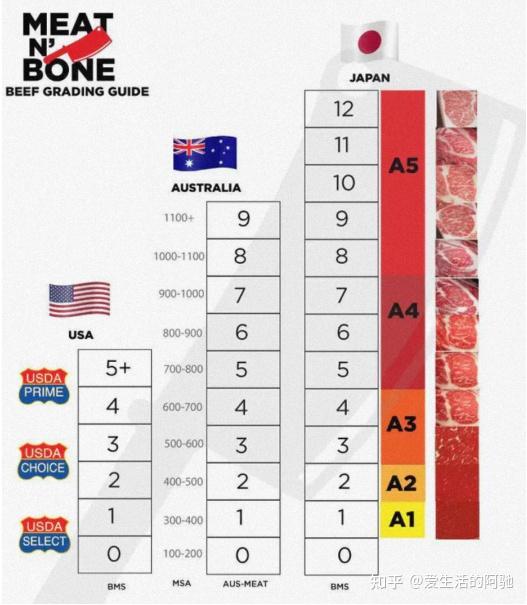 美国牛排等级图片