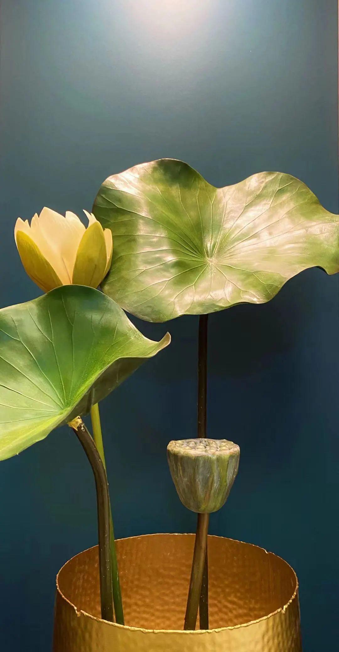 淡雅素净诗意满满因一间房爱上宅家生活