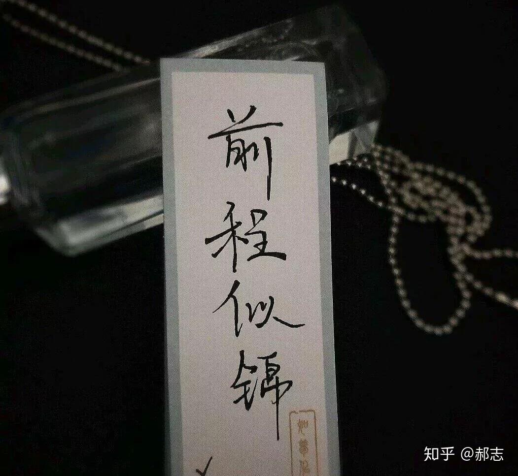 有质量的生活是什么样子 v2-2dbcaf5090a69c910bbaa167d972dca8_r.jpg