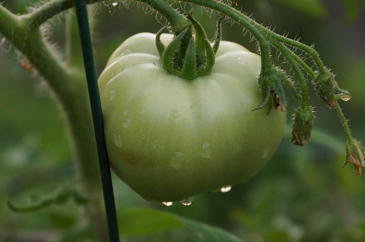 4. 花器创意选择