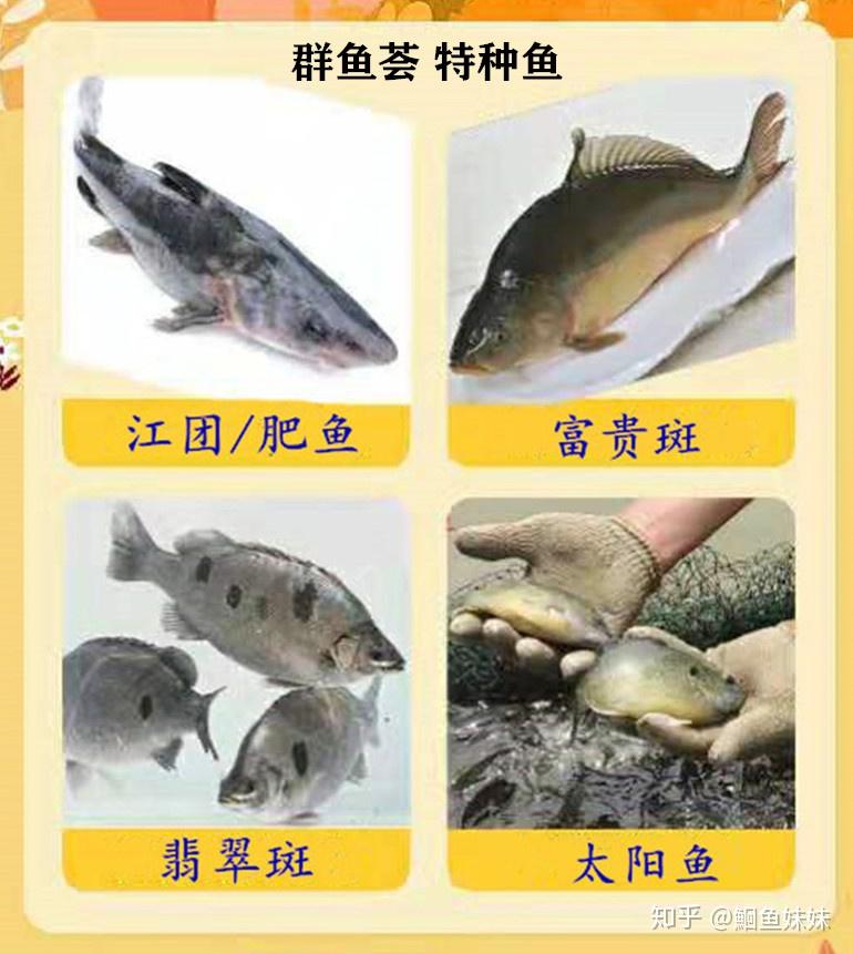 v2-2dbdc00a88e9b119e8be543057d0df10_r.jpg