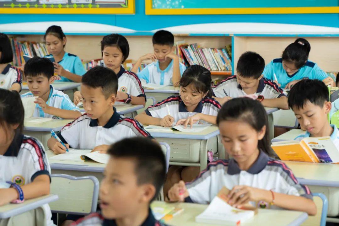 加快推进教育扩容,重点抓好南城阳光实验中学蛤地分校,东莞国际商务区