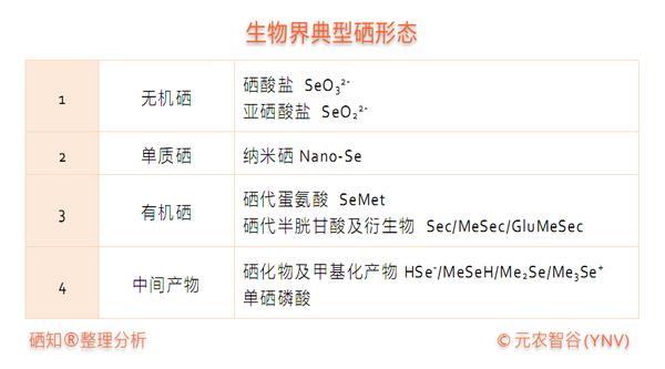 初识硒的世界 - 知乎
