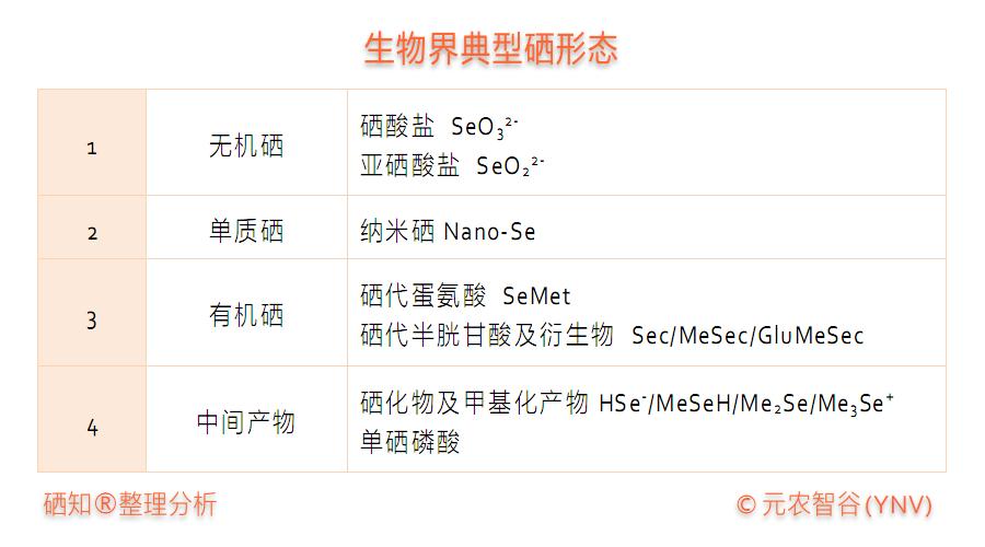 初识硒的世界 - 知乎