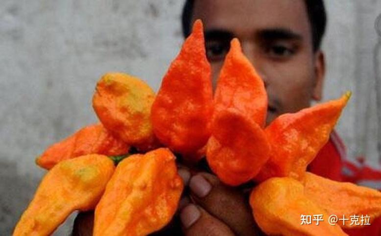  Why Do We Eat Spicy Food 