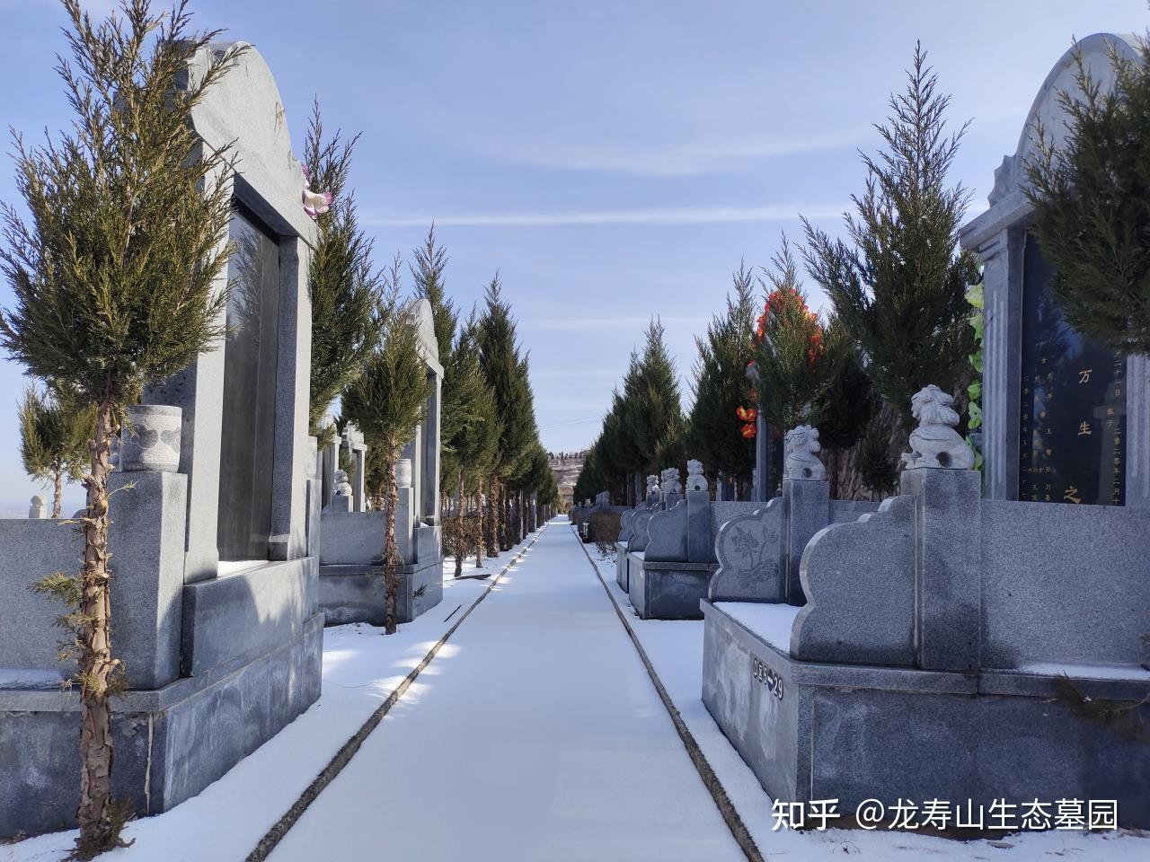 临渭区龙寿山墓园15209207263