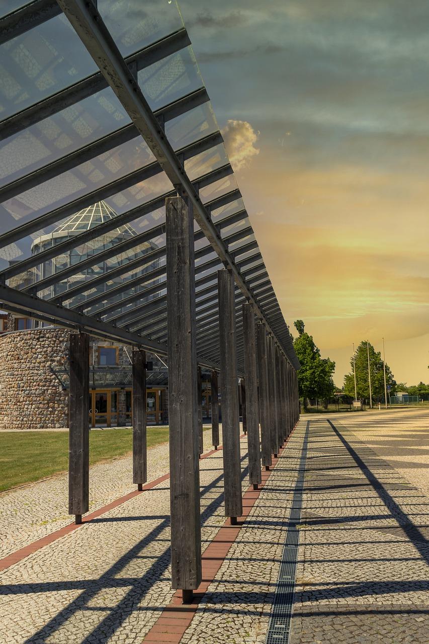 成长足迹：回顾与展望