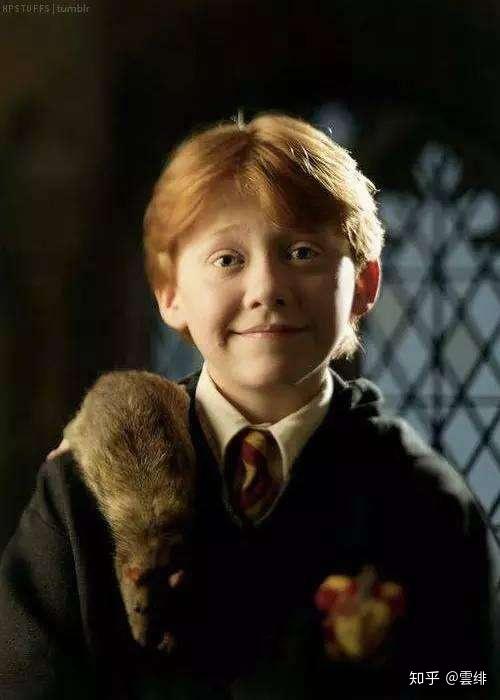 罗纳德·比利尔斯·韦斯莱 ronald billius weasley