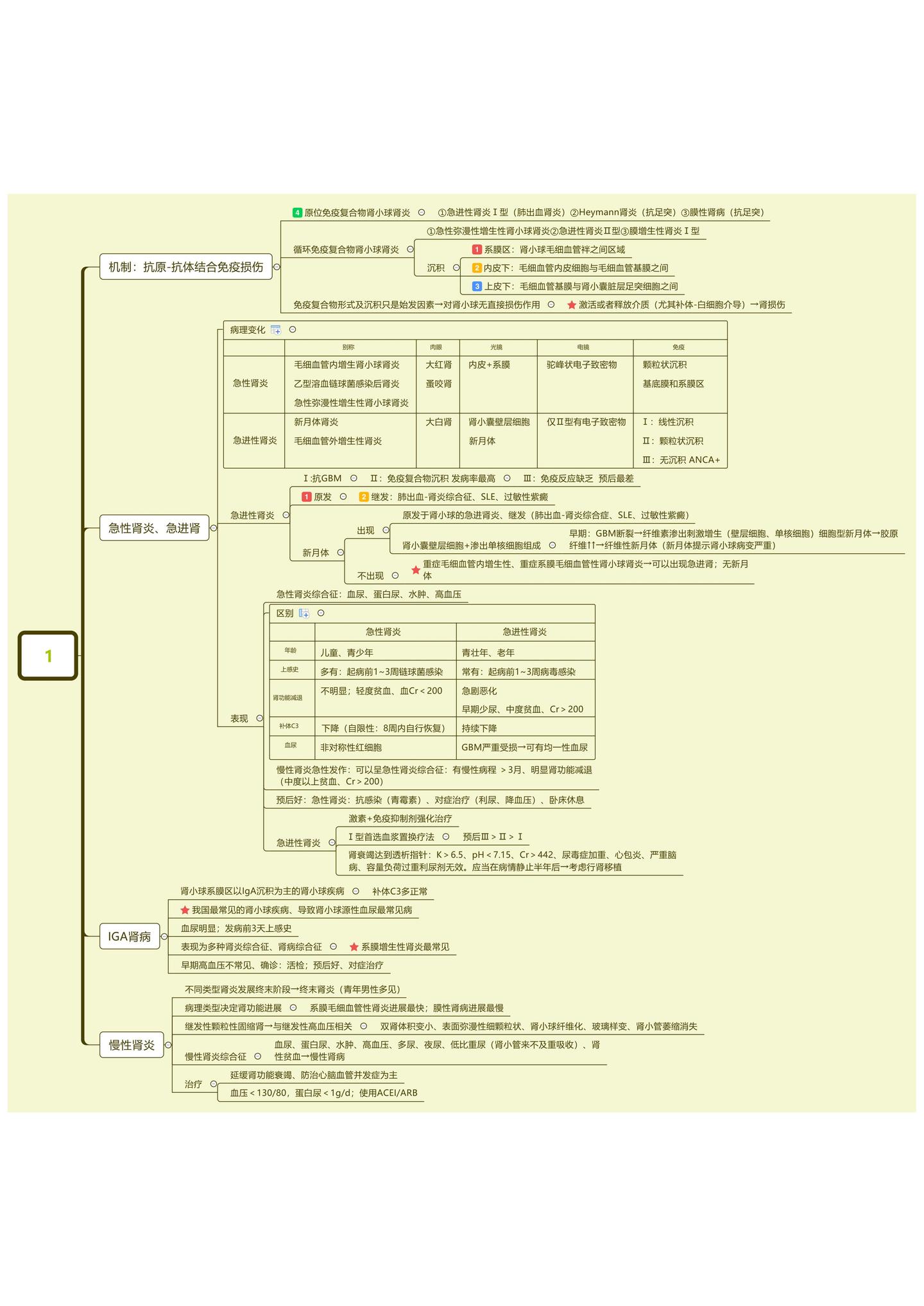 《内科学》肾①--肾炎、肾病综合征 - 知乎