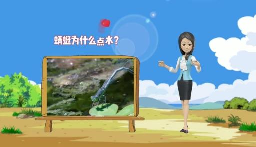 蜻蜓为什么要点水 蜻蜓为什么要点水