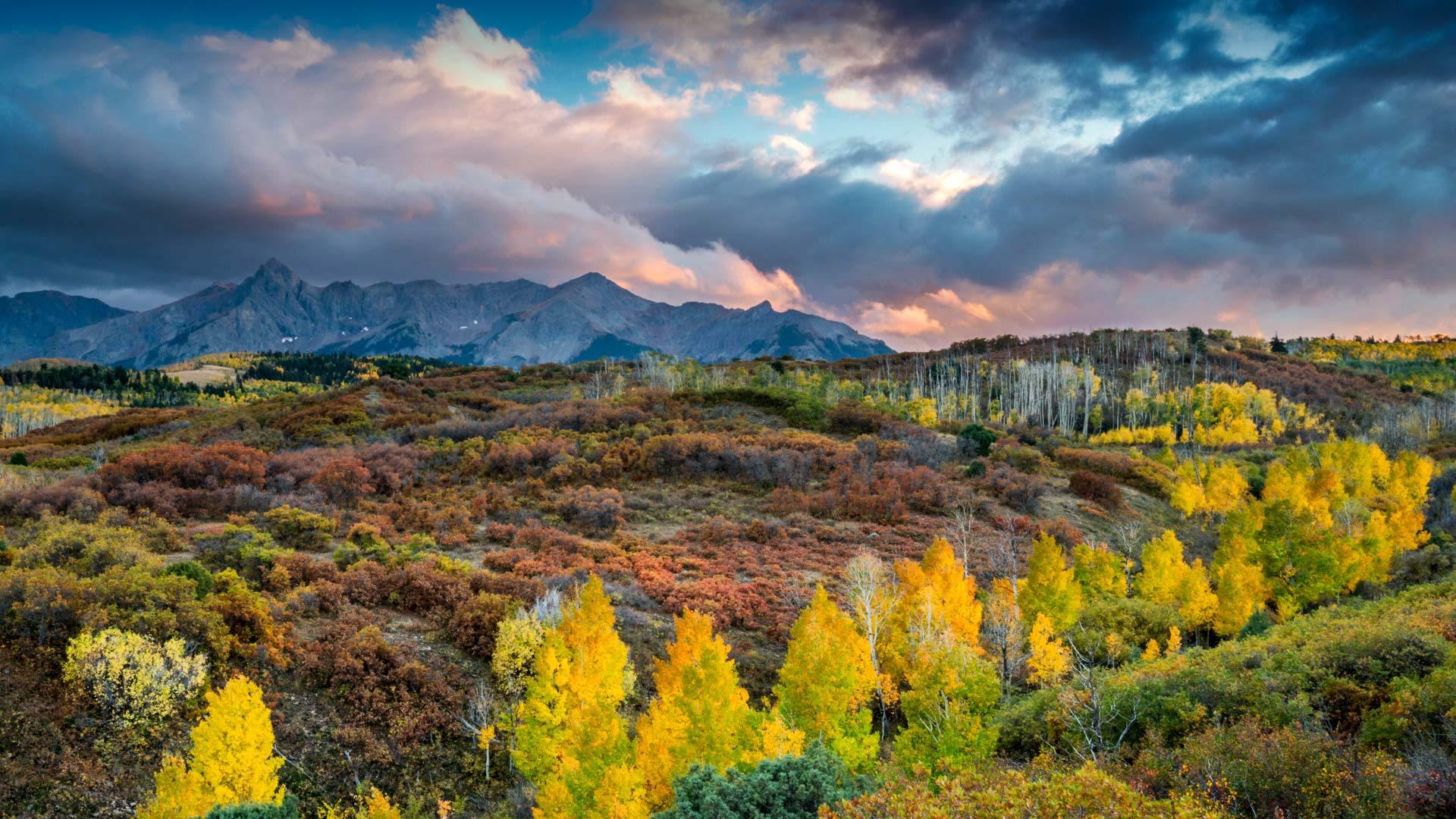 有哪些优雅的 windows 10 壁纸? - 知乎