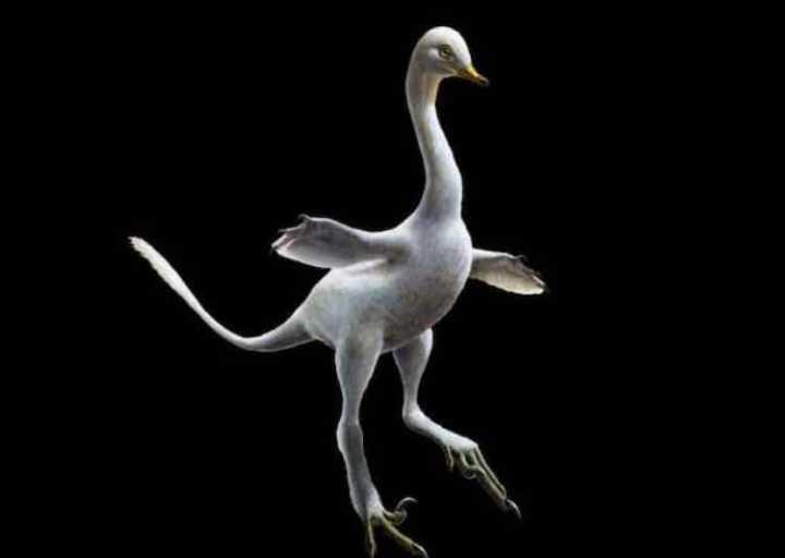 如何评价nature上新发现的水陆两栖恐龙