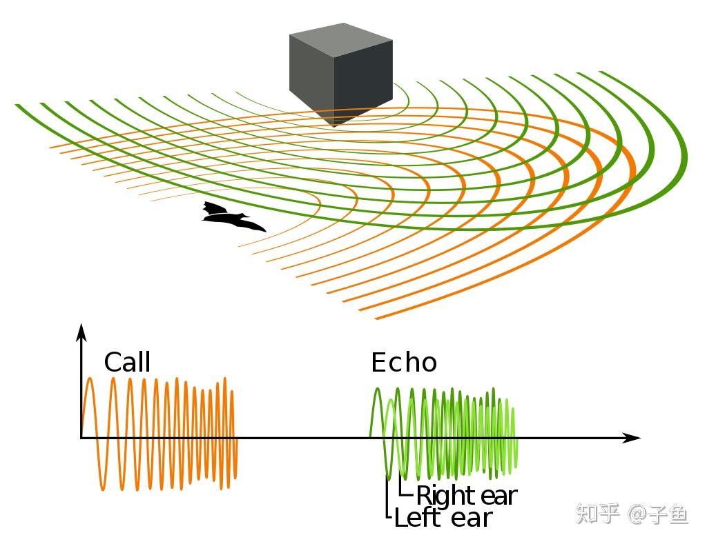 声学发展史之——心理声学(Psychoacoustics)·下 - 知乎