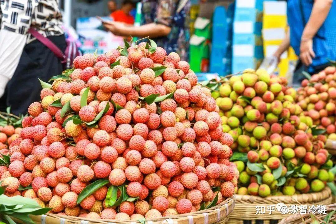 【生鲜水果】荔枝的采后处理与保鲜技术 - 知乎