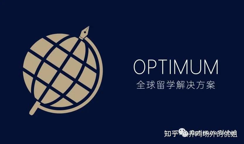 大家好我们是optimum